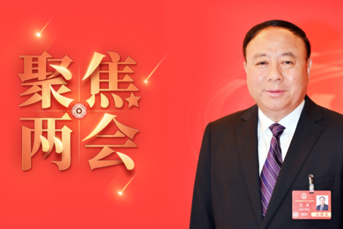全國人大代表李寅2025年建議之四--盡快解決農(nóng)林生物質(zhì)發(fā)電可再生能源電價附加補助拖欠問題，化解行業(yè)經(jīng)營風(fēng)險的建議